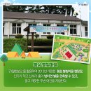 횡성 별빛마을 캠핑장 이미지