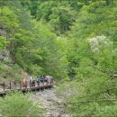 힐링관광지 주차장 이미지