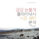 스파이더플라이 이미지