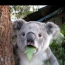 슬로우스텝 이미지