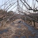 마리들농장 이미지