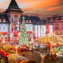 Pet's Tree 이미지