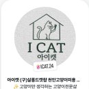 아이캣 고양이미용 호텔 이미지