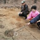 함안 명관리 공룡발자국 이미지