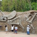 박애어린이집 이미지