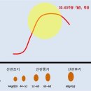 싱싱한 계란 고르는법! 이미지