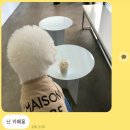 금보막창 이미지