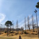 골프클럽  Q | 골프클럽Q 라운딩 후기 / 코스 난이도·그린 상태·뷰까지 솔직 리뷰 (서울 근교 골프장)