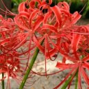 좌천체육공원 이미지