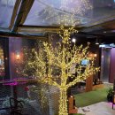 스테이 신사리 | 와인어클락 신림점 방문 후기…소개팅 장소로 추천해요!