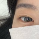 Lamode 이미지