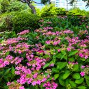 송림공원 이미지