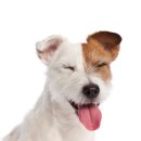 송도동물병원 이미지