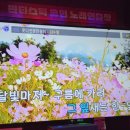 아리랑노래연습장 네이버블로그
