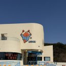 놀자대게 본점 이미지