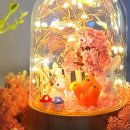 젤리트리주식회사