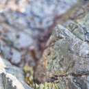 맹골죽도 민박집 이미지