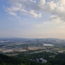 세종동_전월산 무궁화 테마공원 이미지