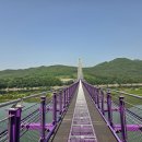 시루섬 Daum카페