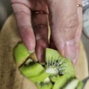 대영농장2 이미지