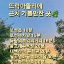 스잔이네 통닭 이미지