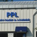 puppy lounge 이미지