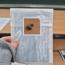 선우농장 | 2025.10月| 시월의 바람을 한데 모아