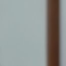 봄피부과의원 이미지