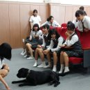 삼우중학교 이미지