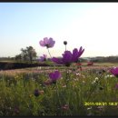 공음농장 이미지