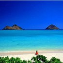 바다에 누워 이미지