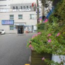 성산1동 주민센터 이미지