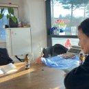 몸애좋은두부 이미지