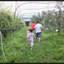 대규농장 이미지