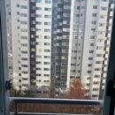 상동 484 이미지