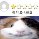 푸딩 / 미우다 해변 / 오카베 식당 / 야마하치 제과 / 밸류마트 오우라점 / 슬로스글램핑 셀프 야끼니꾸