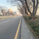 신천대로 이미지