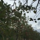 덕송농장 이미지