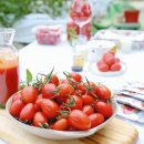 토토농장 이미지