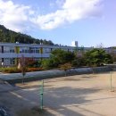 개령서부초교 이미지