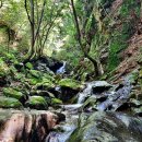 성수산자연휴양림 이미지