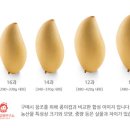 엠와이코퍼레이션