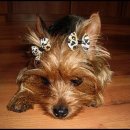 랩프렌드 이미지