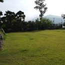 달빛 아리수 이미지