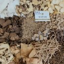 중국 한의원 이미지