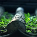 지학농장 이미지