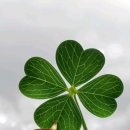 진이발관 이미지