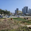 근화농장 | 지적산 187.2m 전남 목포 석현동 20260328