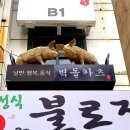 사림동247 | (창원맛집) 분위기와 맛 모두 반한 벽돌카츠 다녀온후기. 창원가로수길맛집.