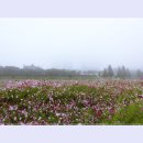 여주-1100 이미지